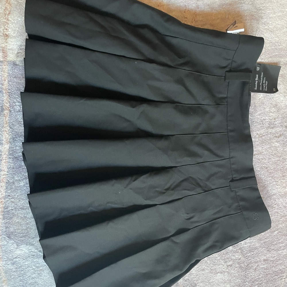 Aritzia Black Mini Pleated A-Line Skirt
